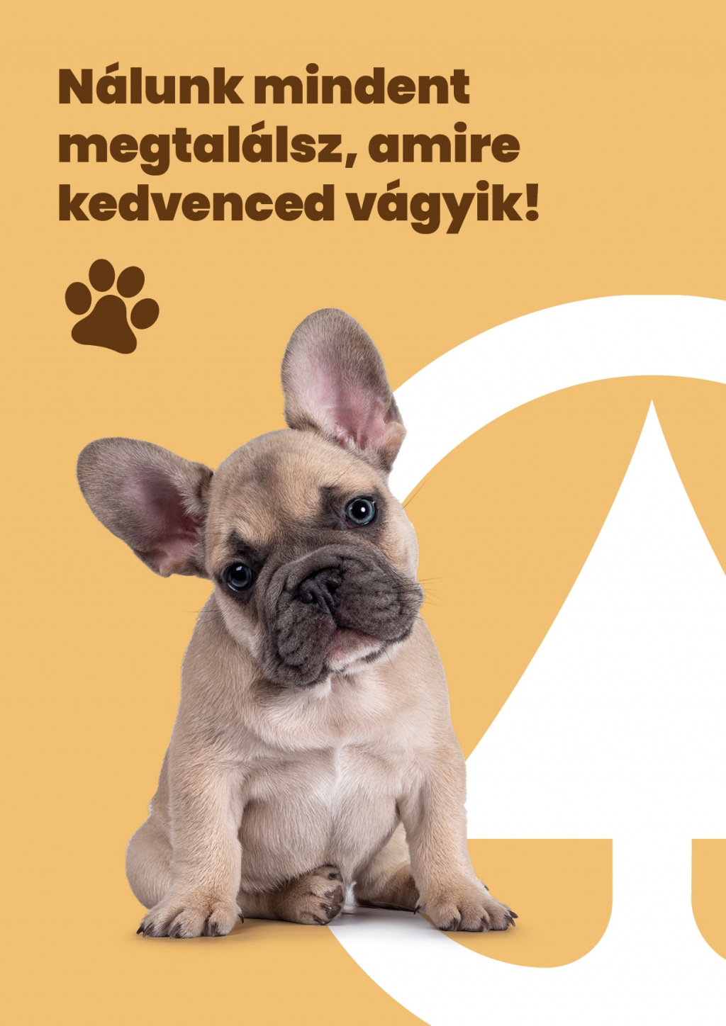 kutyafesztival-a-budapesti-varosligetben-a-spar- tamogatasaval-2.jpg
