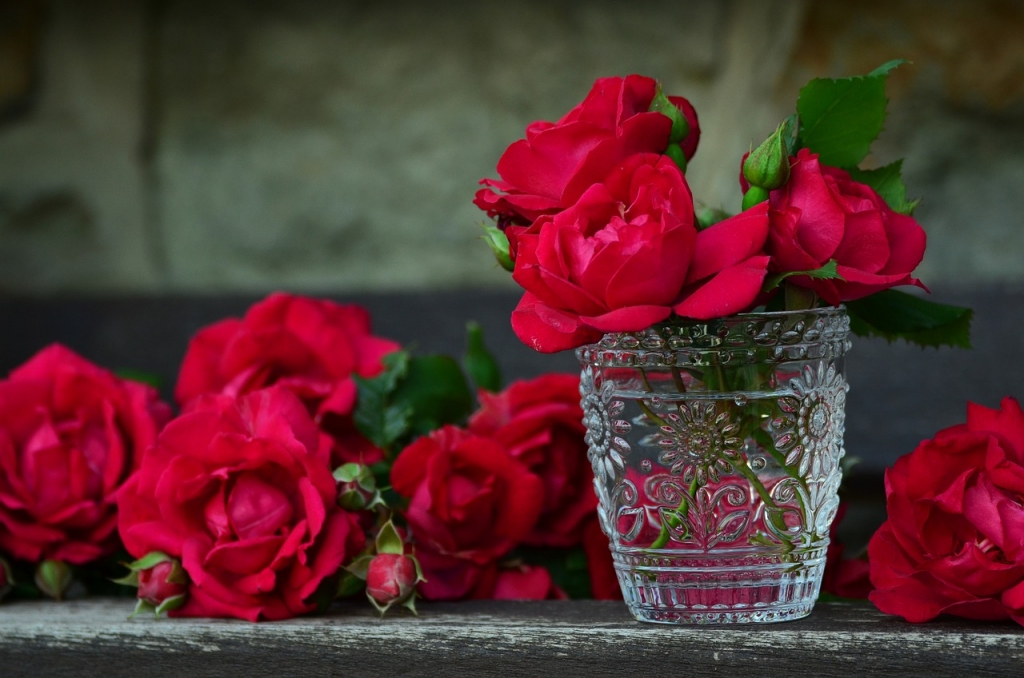 roses-821705_1280.jpg