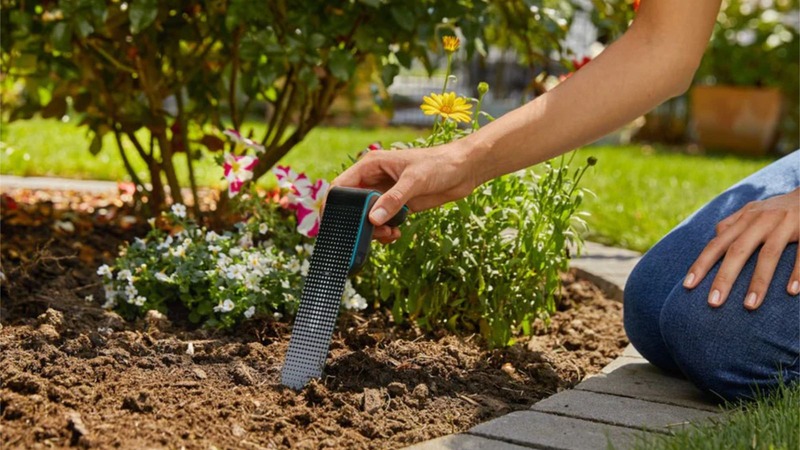 Garden_AI_3 (1).jpg