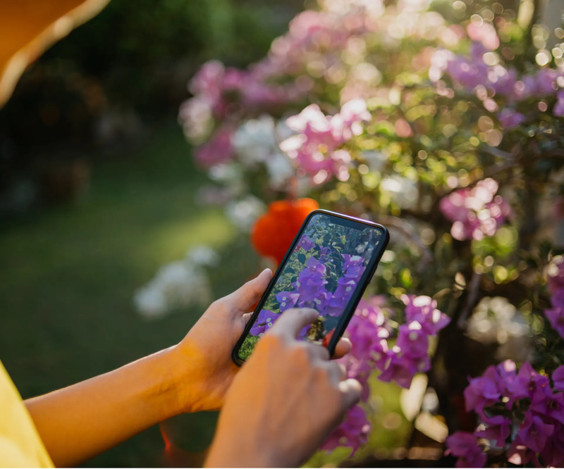 Garden_AI_2 (1).jpg