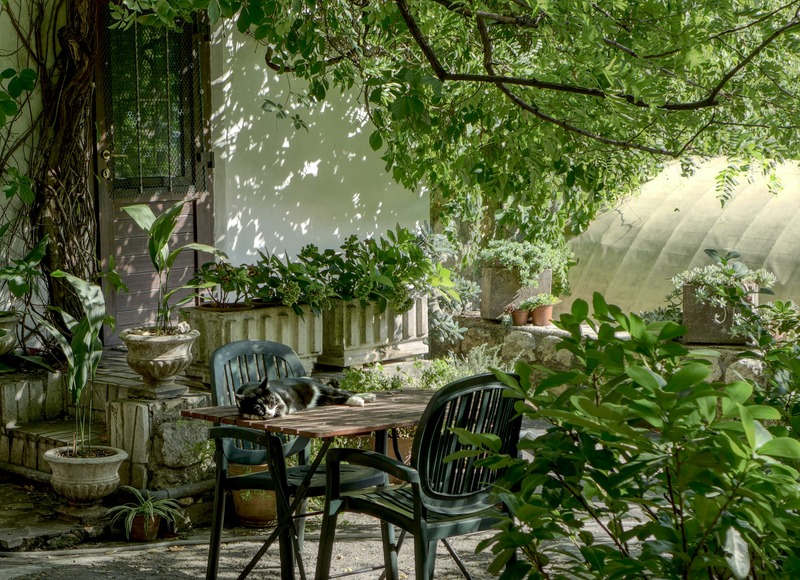 GardenExpo_6 (1).jpg