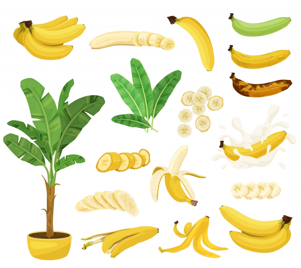 2210.q708.036.F.m012.c7.banana flat set.jpg
