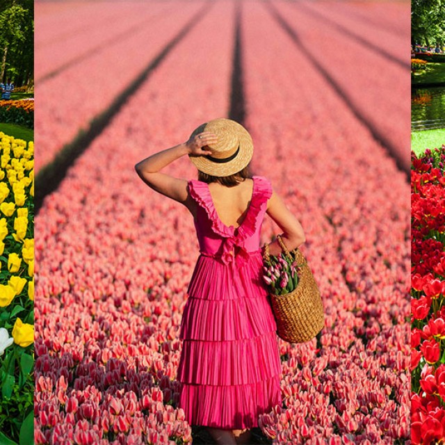 Végtelen tulipánmezők: Hollandiában található Európa virágoskertje, a Keukenhof