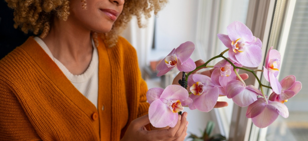 Orchidea, mint a lakás virágzó éke: így öntözd, hogy sokáig díszíthesse otthonodat!