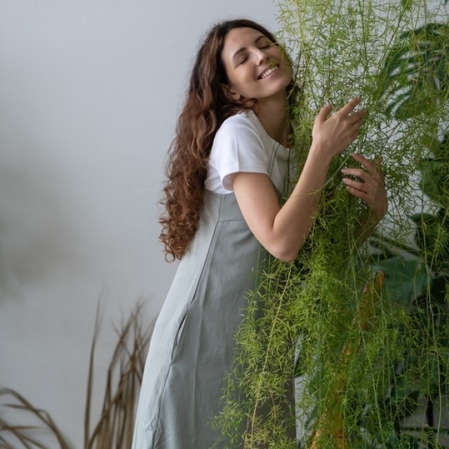 Elkezdődött a Mérleg időszaka: 5 szobanövény, ami illik ehhez a csillagjegyhez