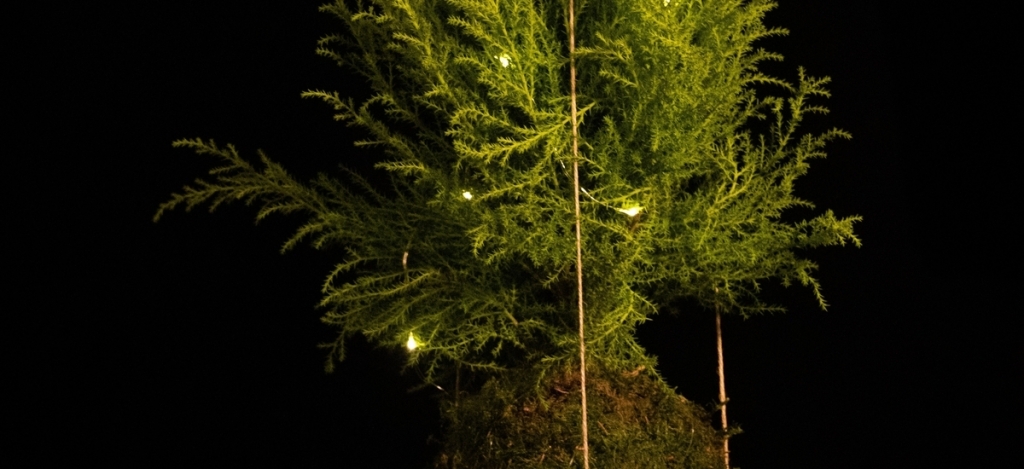 Újabb zseniális ötlet a japánoktól: állíts vagány, mégis minimalista karácsonyfát!