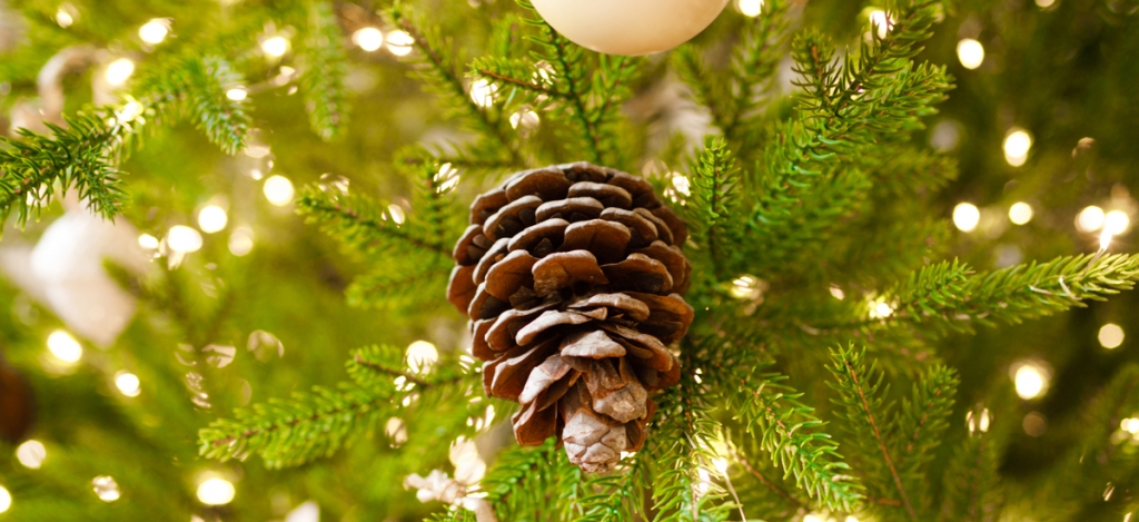 4 tipp, amelyek segítségével a műfenyőd is úgy illatozhat, akár egy igazi fenyőfa! 4 tipp, amelyek segítségével a műfenyőd is úgy illatozhat, akár egy igazi fenyőfa!