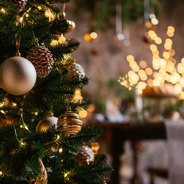 Meseszép karácsonyfák fotókon: inspirálódj ünnepi galériánk segítségével holnapra!